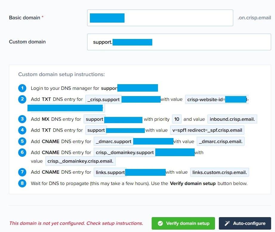 Custom Domain DNS Setup